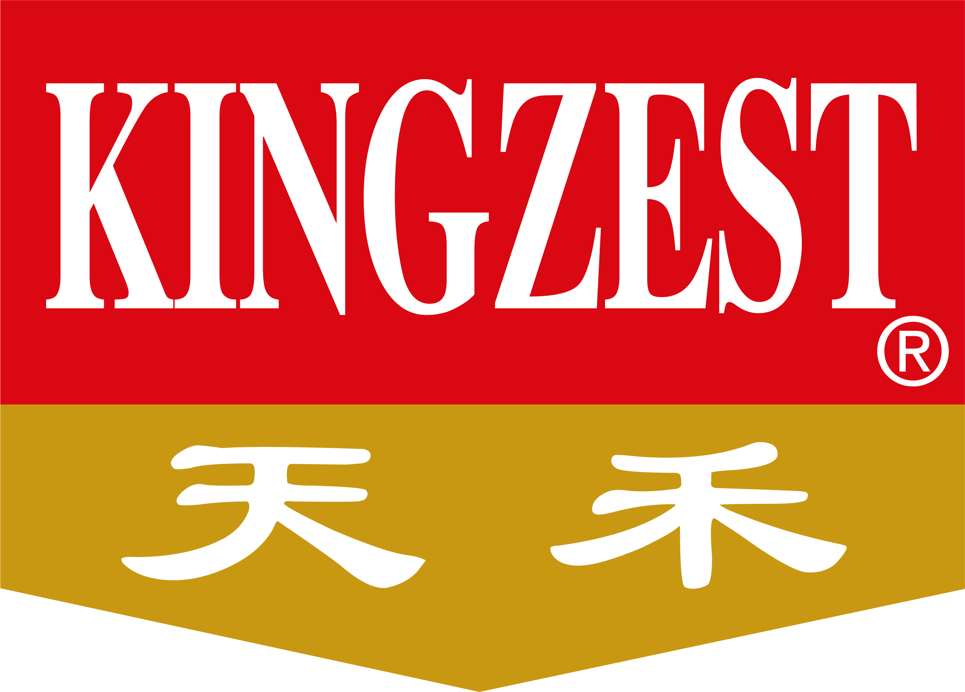 Kingzest